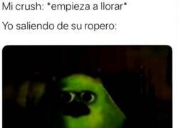 Enlace a No se lo tomó bien