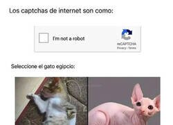 Enlace a Parece fácil