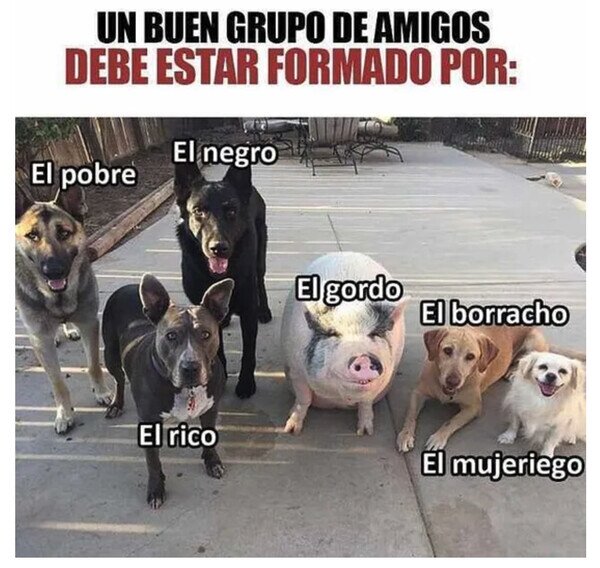Meme_otros - Podrían ser mis colegas