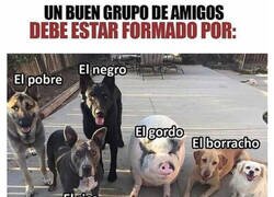 Enlace a Podrían ser mis colegas