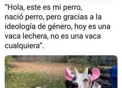 Enlace a Me da leche merengada