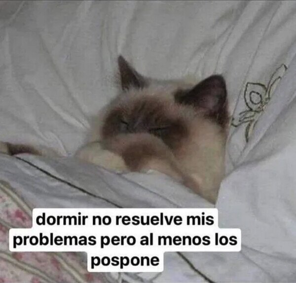 Otros - Por eso me gusta tanto
