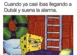 Enlace a Vuelta a la realidad