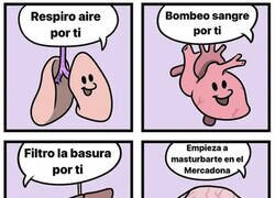 Enlace a ¿Qué órgano hace más por ti?