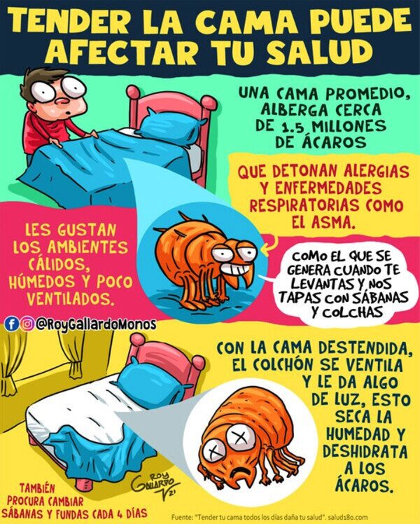 Meme_otros - No tiendas la cama nada más levantarte