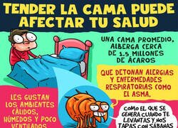 Enlace a No tiendas la cama nada más levantarte