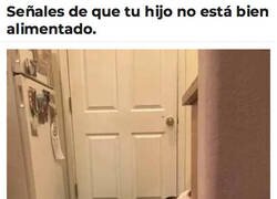 Enlace a Cuenta con el apoyo del perro