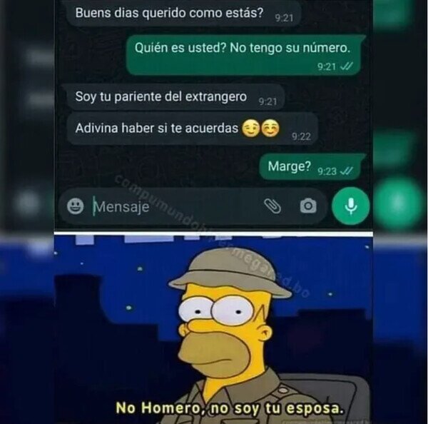 Otros - No, Homer...