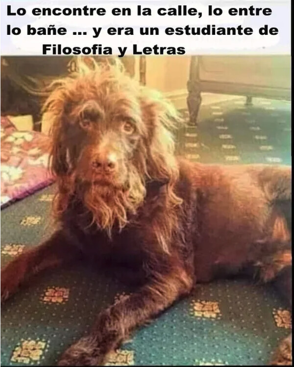 Meme_otros - Fáciles de confundir