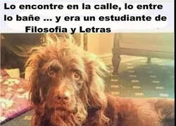 Enlace a Fáciles de confundir