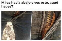Enlace a Me tiene cogido por los mismísimos...