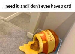 Enlace a Lo necesito, y no tengo ni gato