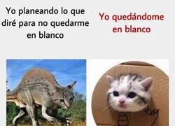 Enlace a Siempre me acaba pasando