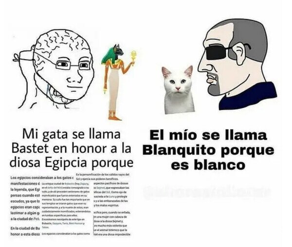 Otros - Nombrando gatos