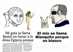 Enlace a Nombrando gatos