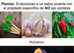 Enlace a No pican para que tú le eches extra