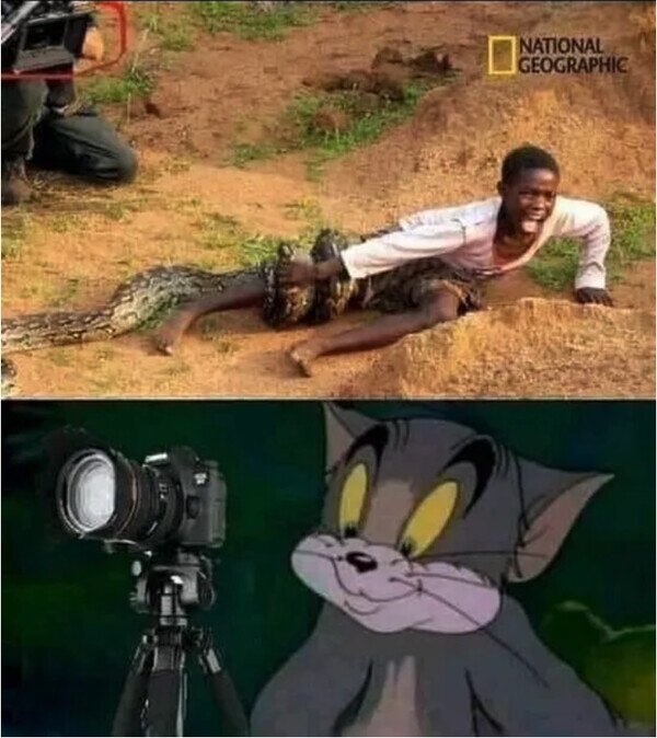 Meme_otros - El cámara de National Geographic no está ahí para ayudar
