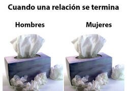 Enlace a Nada que ver