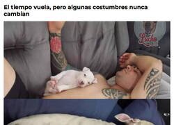Enlace a Y que así siga siendo