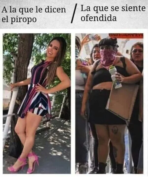 Meme_otros - ¿Por qué se sienten aludidas otras?