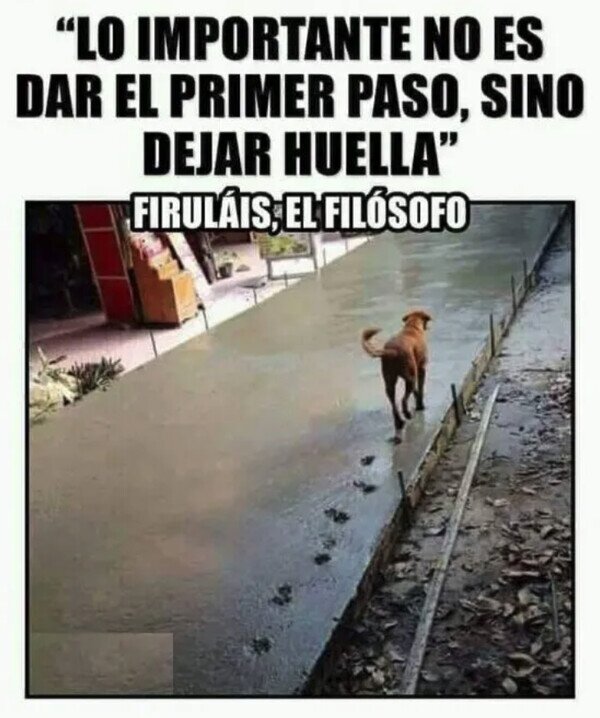 Meme_otros - Palabra de Firulais