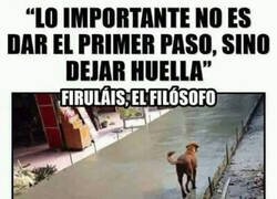 Enlace a Palabra de Firulais