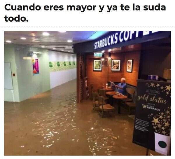 Otros - Ni una inundación puede arruinarle la tarde