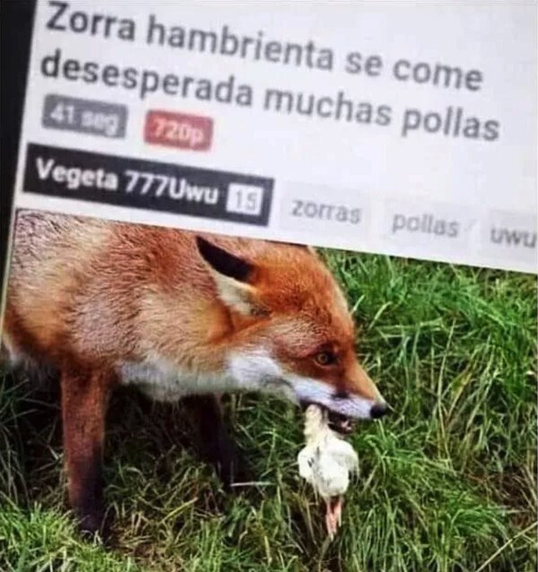 Otros - El título cumple con lo que promete