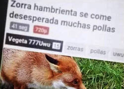 Enlace a El título cumple con lo que promete