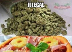 Enlace a Incongruencias de nuestra sociedad