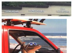 Enlace a Todo lo que necesitaba en un mismo lugar