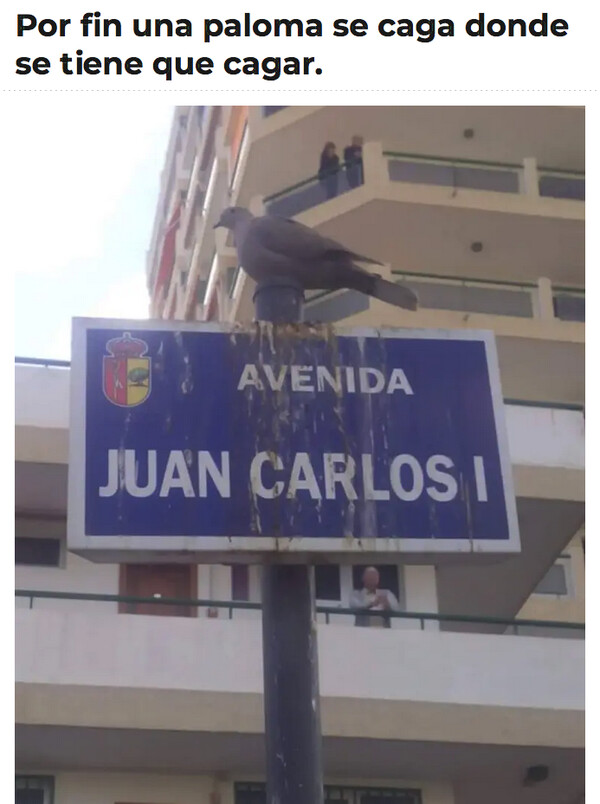 Meme_otros - Palomas así las quiero yo para mi conjunto