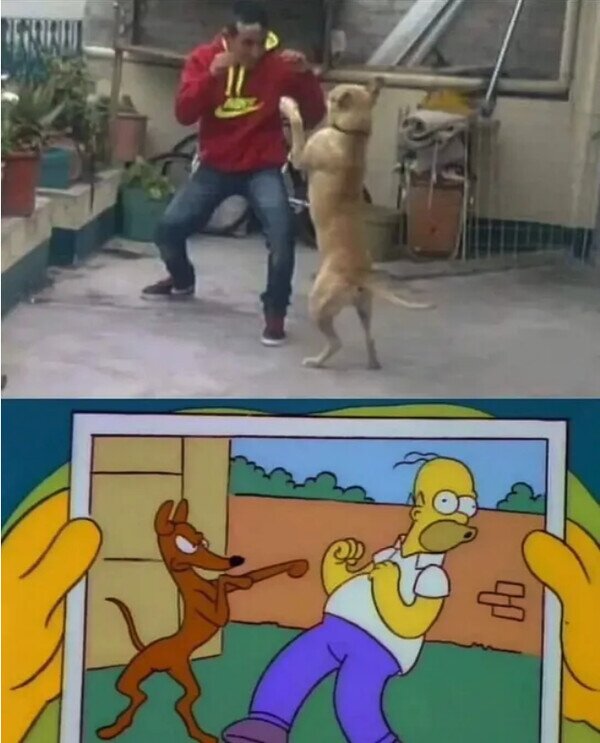 Meme_otros - También pasó primero en Los Simpson