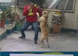 Enlace a También pasó primero en Los Simpson