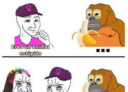Enlace a Animal estúpido