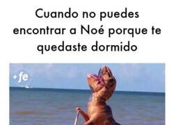 Enlace a Alguien llegó tarde al arca