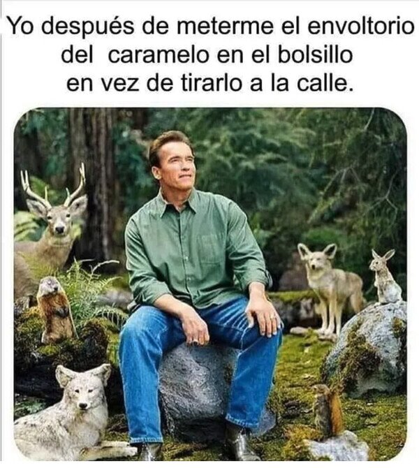 Meme_otros - Soy amigo del medio ambiente