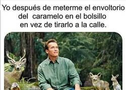 Enlace a Soy amigo del medio ambiente