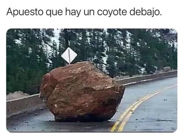Meme_otros - Tiene que ser obra del Correcaminos