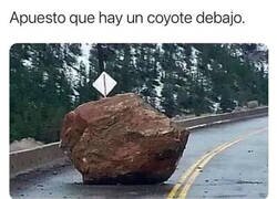 Enlace a Tiene que ser obra del Correcaminos