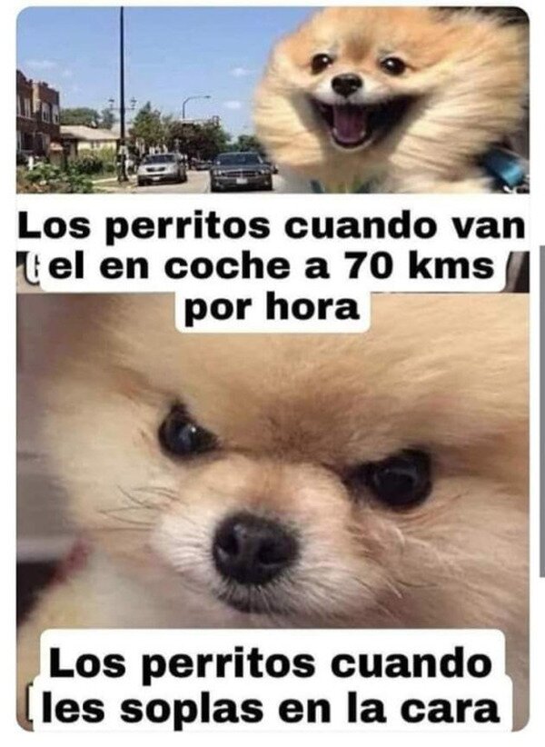 Meme_otros - Así son y así los queremos