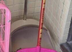 Enlace a La Escobarbie