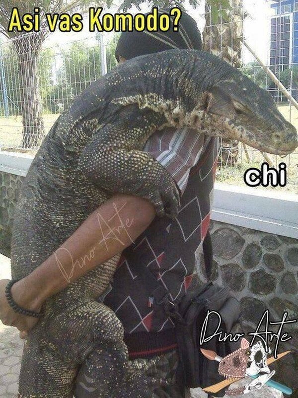 Meme_otros - Dragón de Komodísimo