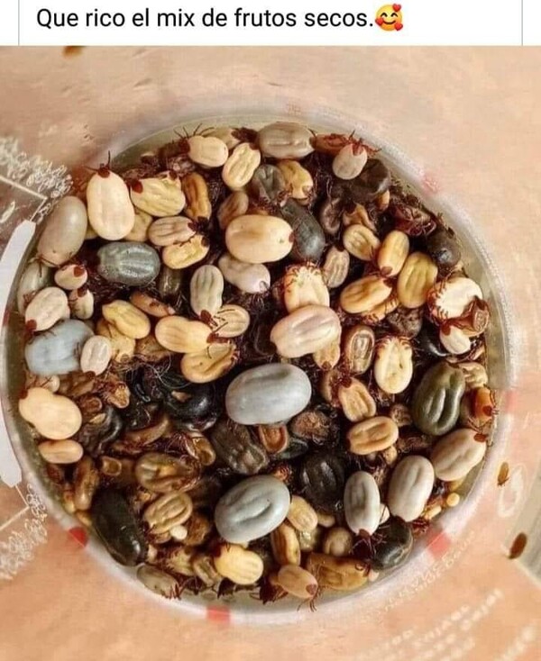 Meme_otros - Gracias pero no