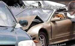 Enlace a Perro siniestrado