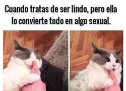 Enlace a No deja descansar