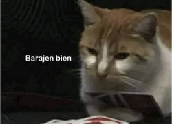 Enlace a Mi compa el que va perdiendo