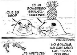 Enlace a A la piña hay que saber darle su uso correcto