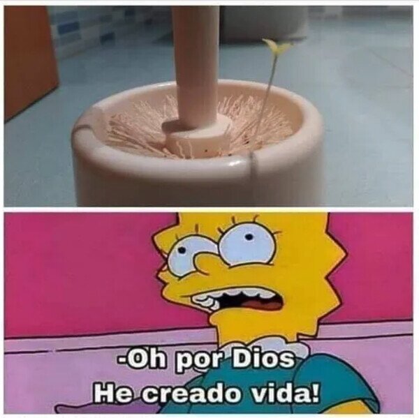 Meme_otros - Del asco puede surgir vida