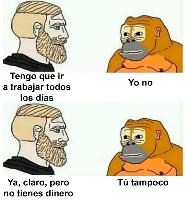 Meme_otros - ¿Cómo hemos llegado a esto?